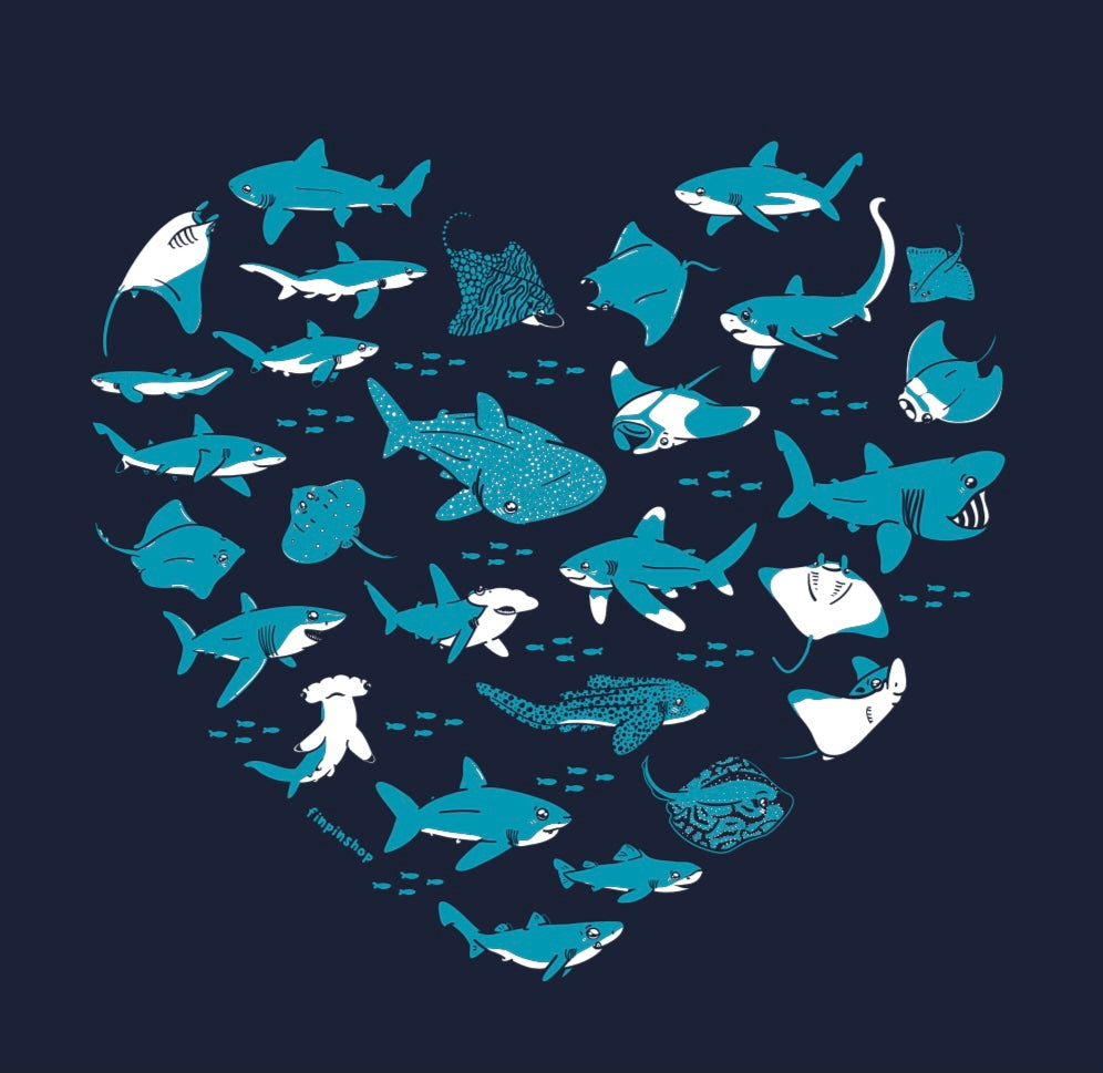 sharks and rays heart tank