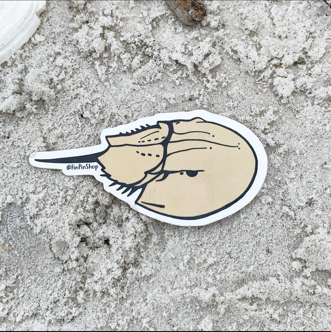 horseshoe crab sticker