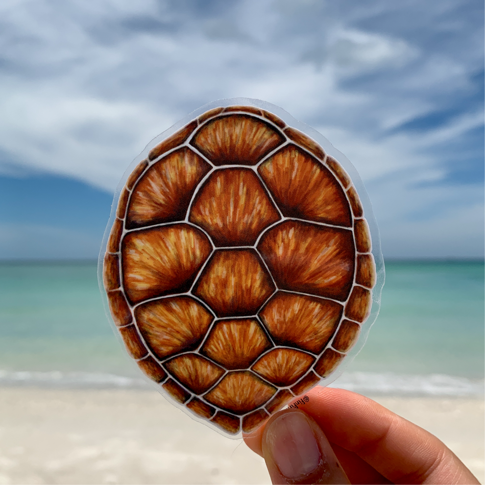 Green Sea Turtle Sticker – Fin Pin Shop